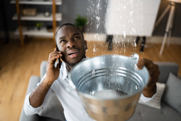 Best Water damage cleanup near me  in Watseka, IL