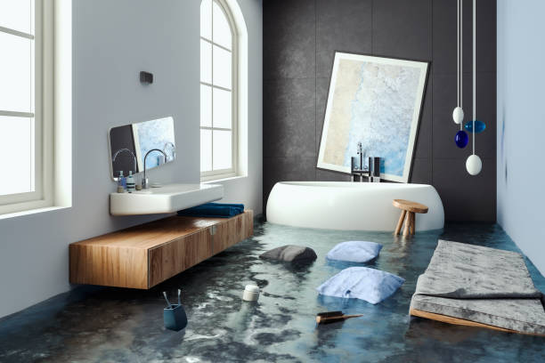 Best Professional water damage repair  in Watseka, IL