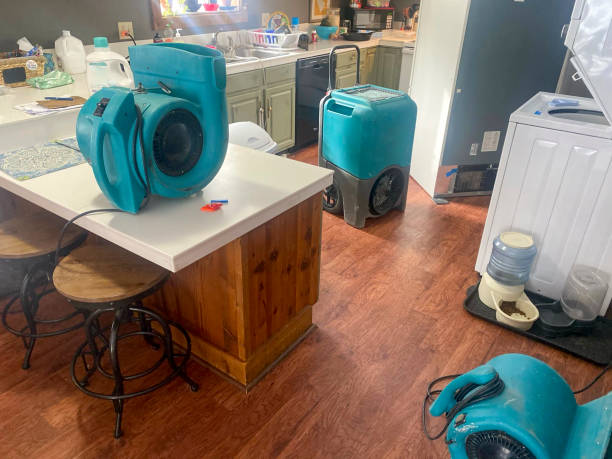 Professional Water damage restoration in Watseka, IL