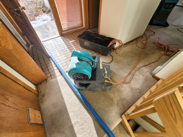 Best Local water damage restoration  in Watseka, IL