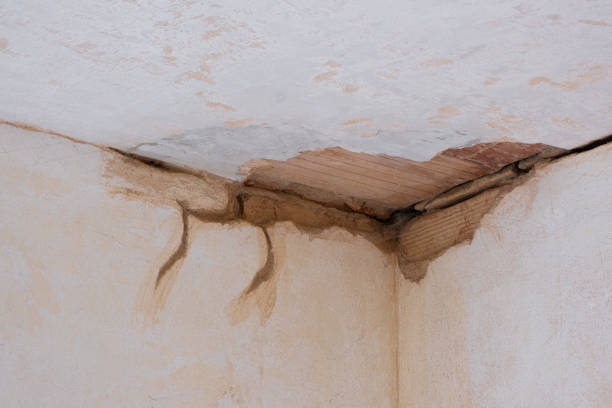 Best Water damage repair service  in Watseka, IL