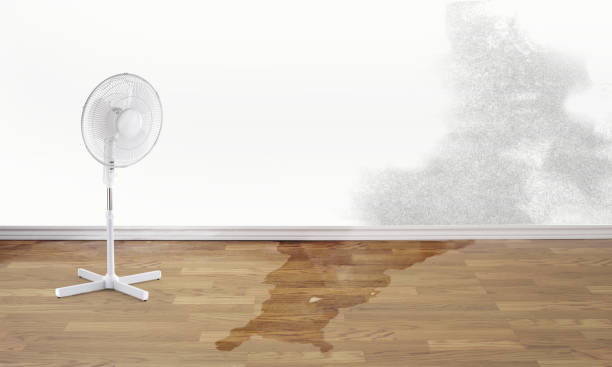Best 24/7 water damage repair  in Watseka, IL