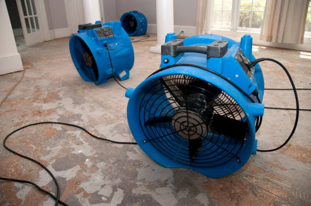 Best Basement water damage restoration  in Watseka, IL