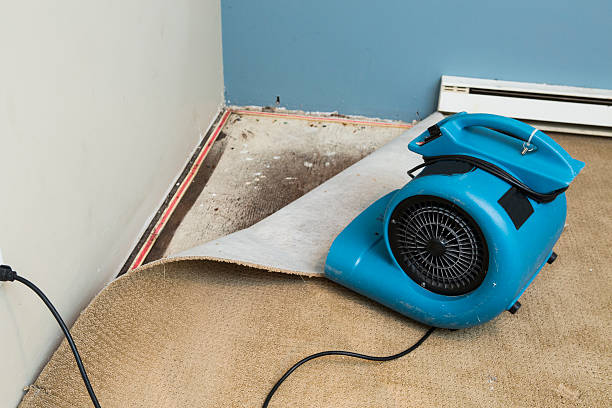 Best Emergency water damage restoration  in Watseka, IL