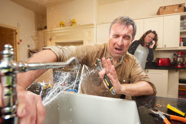 Best Flood damage cleanup  in Watseka, IL